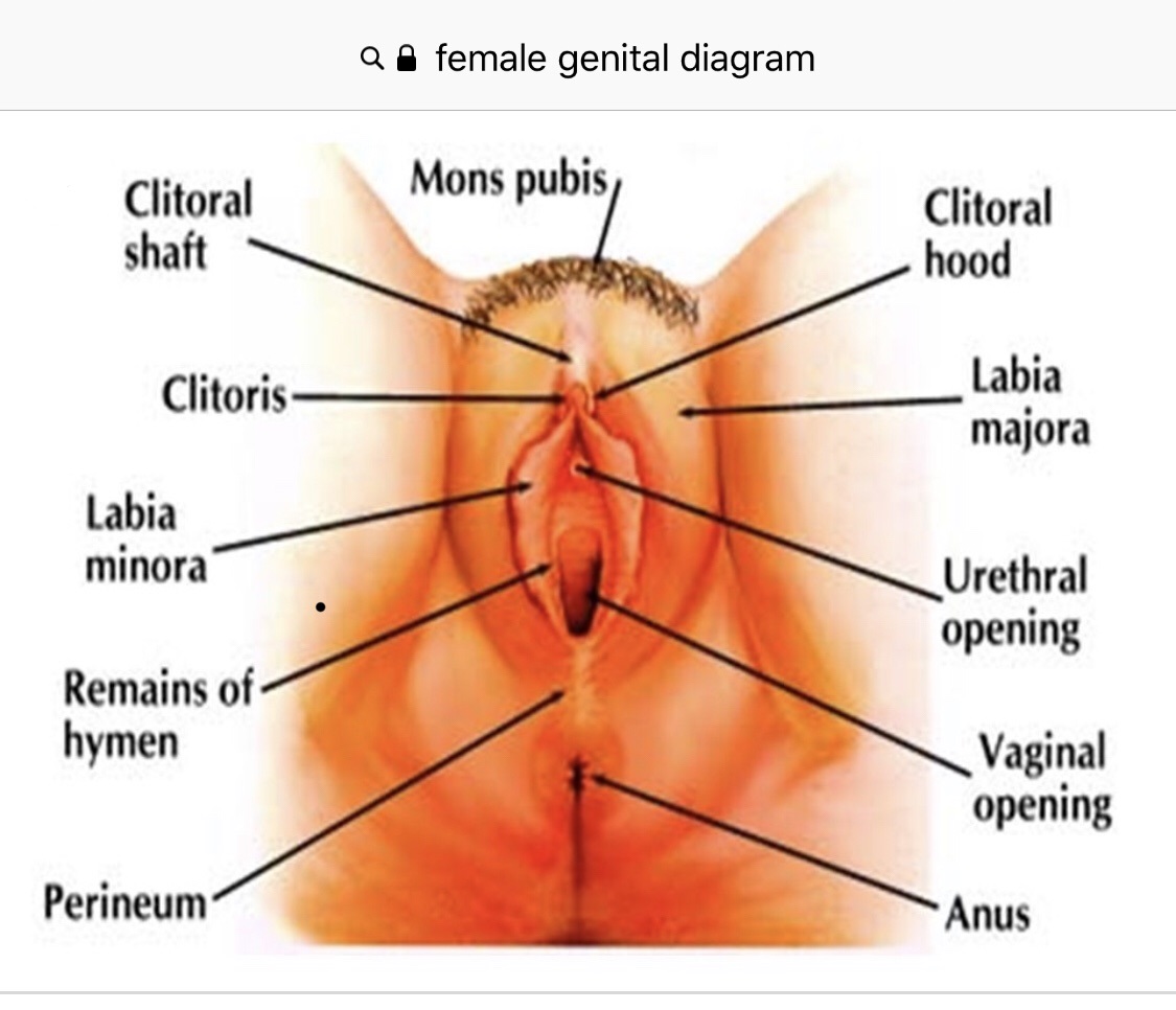 Gynecology